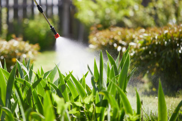 24/7 Emergency Mosquito Control experts in Northfield, MN